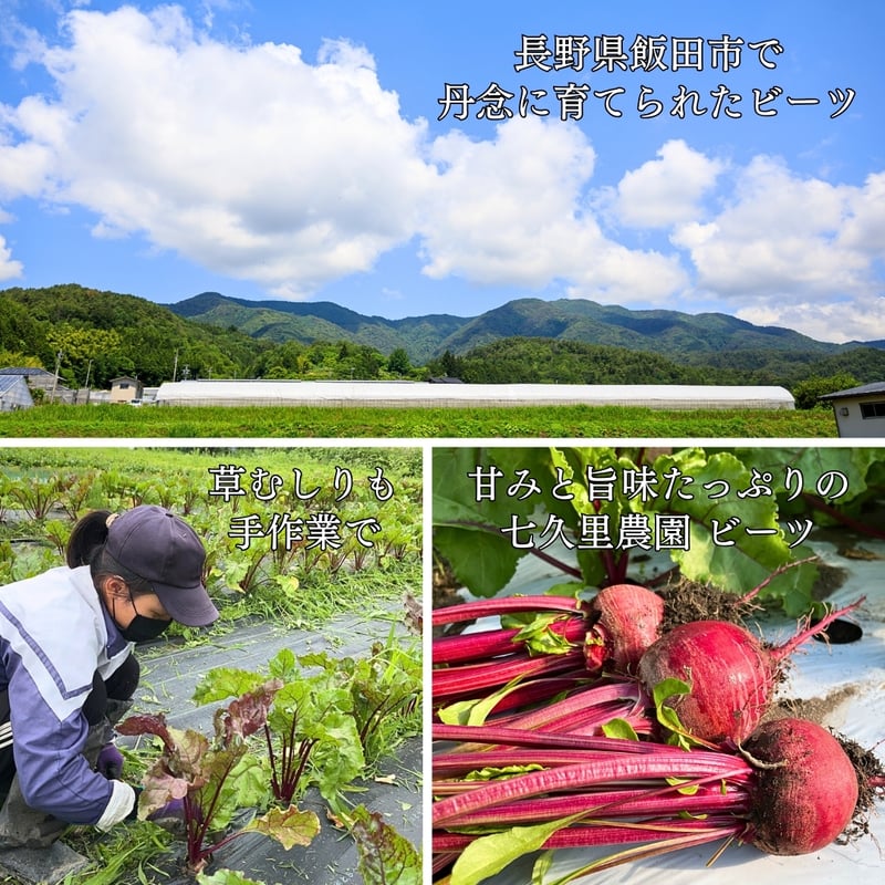 ビーツそのまま真っ赤なドレッシング （280ml） | 七久里農園