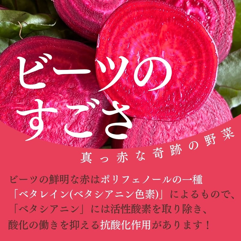 レッドビーツ 2個セット ビーツそのまま真っ赤なドレッシング （280ml） | 七久里農園