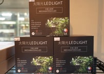 BARREL NEO AMATERAS LED 20W Black