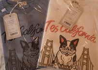 TES GOLDEN GATE BRIDGE T-SHIRTS