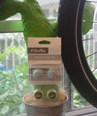 Electra CUSTUM VALVE CAPS（エレクトラ）　【クリックポスト対応可】