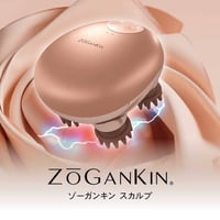 ゾーガンキンスカルプ