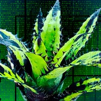 【ステッカー】matrix【カニストラム】