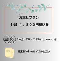 お試しプラン【梅】　💡 初めての方、まずは九星気学で方向性を知りたい方に