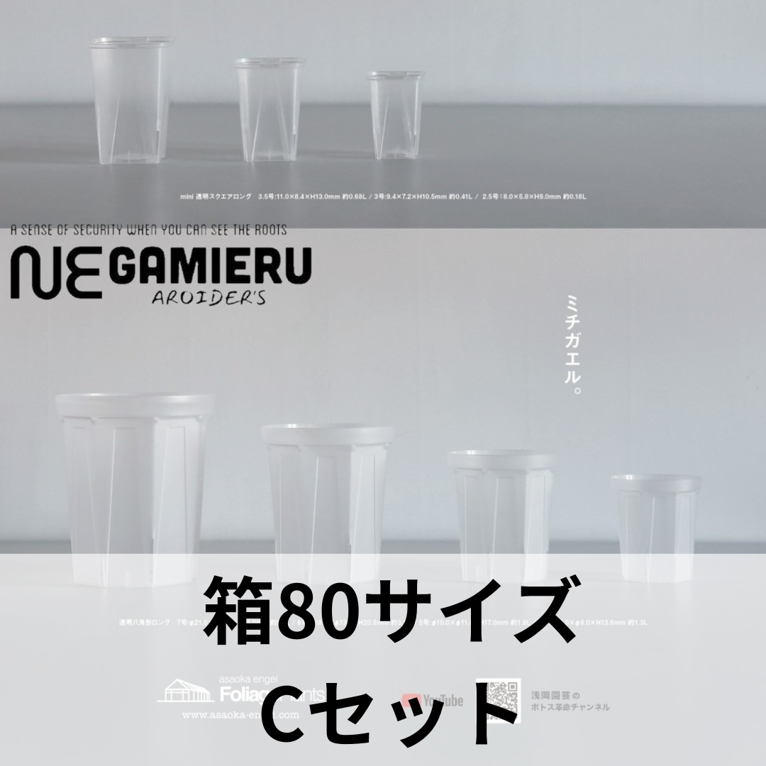 透明鉢《 NEgamieru 》箱80サイズ Cセット | 花森家-2号店- 透明鉢《 NEgamieru 》箱80サイズ Cセット | 花森家-2号店-