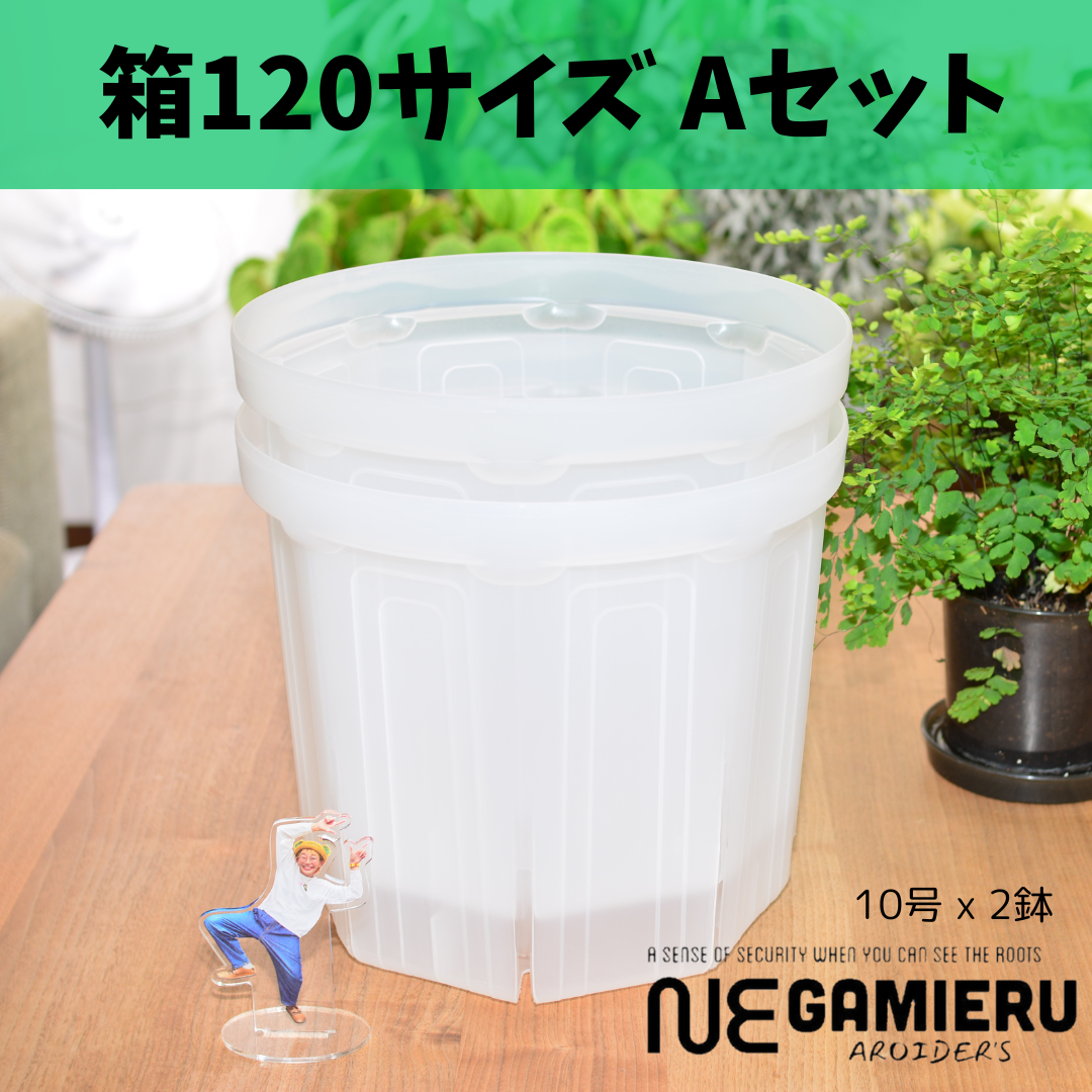 透明鉢《 NEgamieru 》箱120サイズ Aセット | 花森家-2号店-