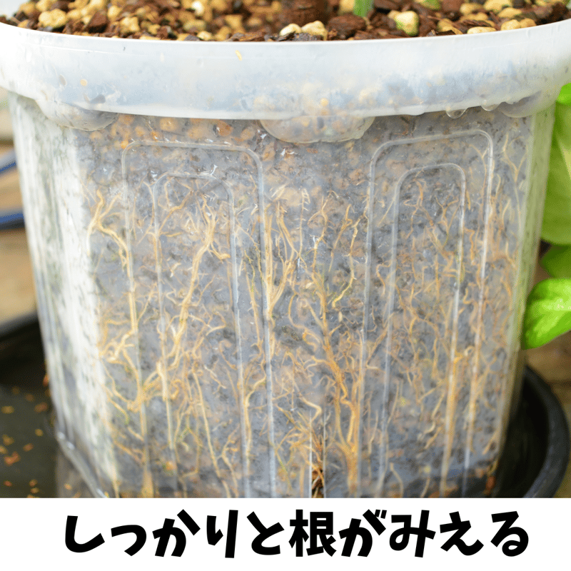 ヨーム　鉢 楽天市場】KAMIYAMA GOLD YOUHEN POT【金窯変スタンダード鉢 4号