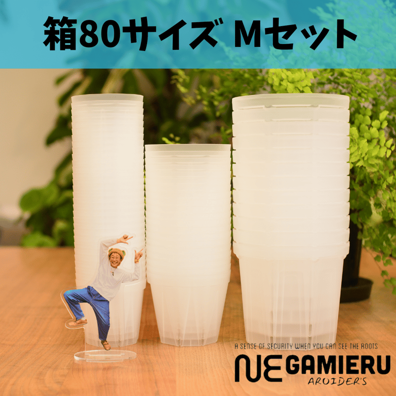 透明鉢《 NEgamieru 》箱80サイズ Mセット | 花森家-2号店-