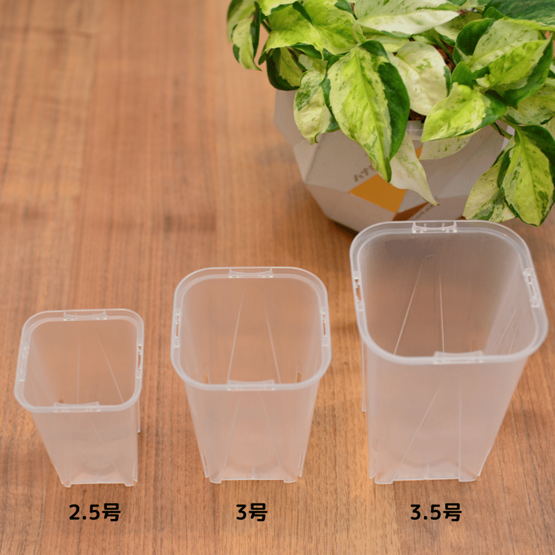 透明鉢《 NEgamieru 》箱60サイズ Bセット | 花森家-2号店-