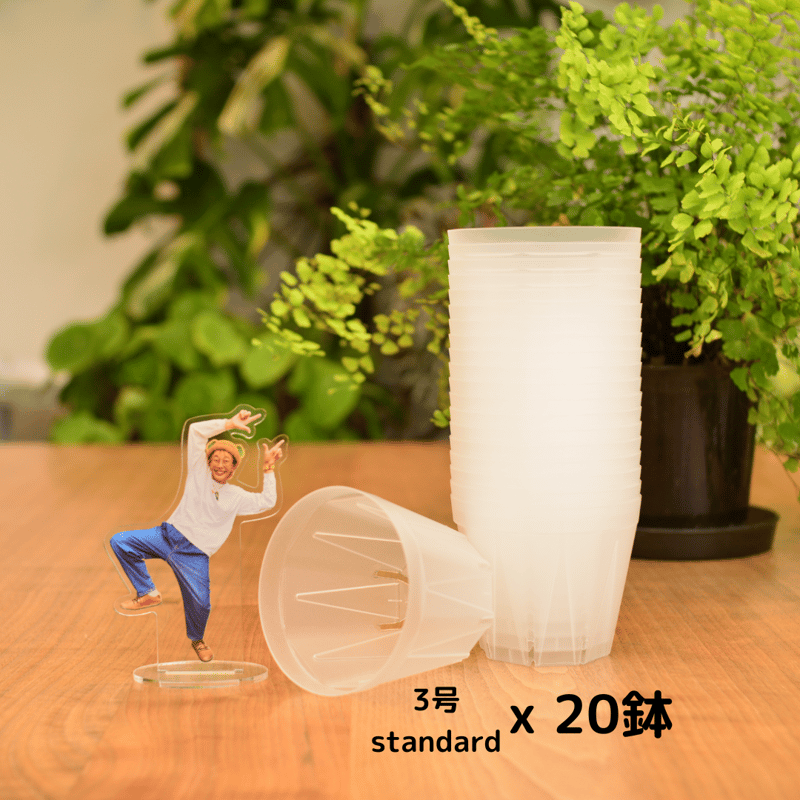 透明鉢《 NEgamieru 》箱80サイズ Mセット | 花森家-2号店-