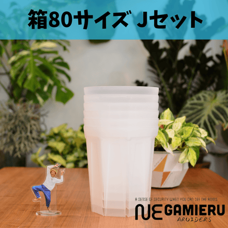透明鉢《 NEgamieru 》箱80サイズ Jセット