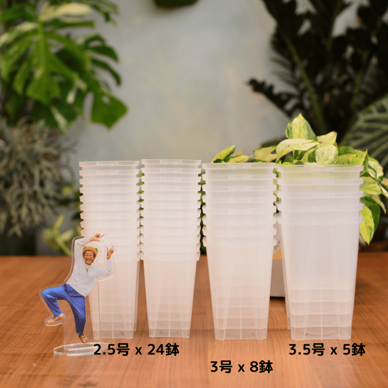 透明鉢《 NEgamieru 》箱60サイズ Aセット | 花森家-2号店-