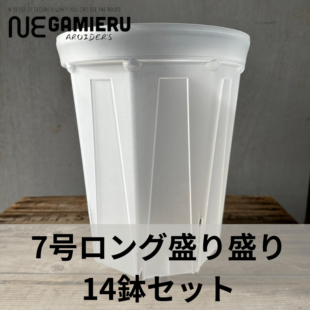 透明鉢《 NEgamieru 》箱100サイズ 7号ロング盛り盛りセット 透明鉢《 NEgamieru 》箱100サイズ 7号ロング盛り盛りセット
