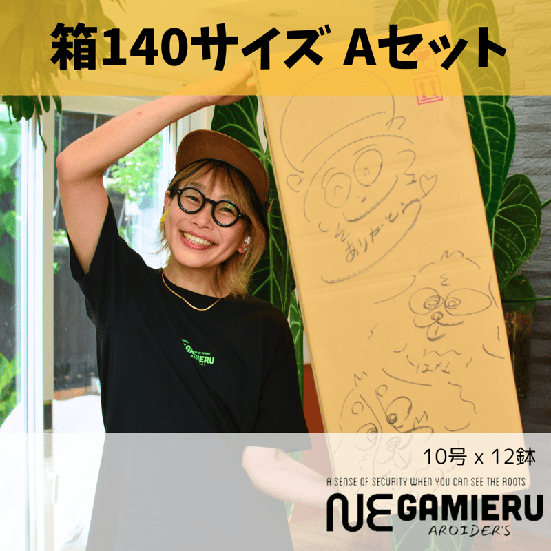 透明鉢《 NEgamieru 》箱140サイズ Aセット | 花森家-2号店-