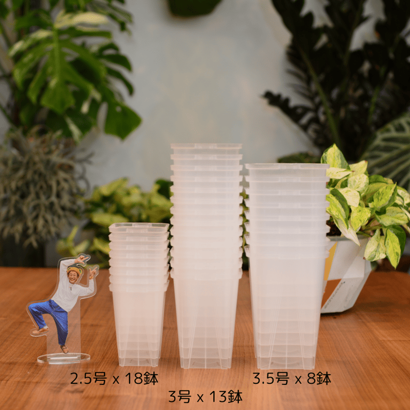 【ミーレル】同梱セット 新製品情報[2025年9月発売]｜プラレール｜おもちゃのタカラ