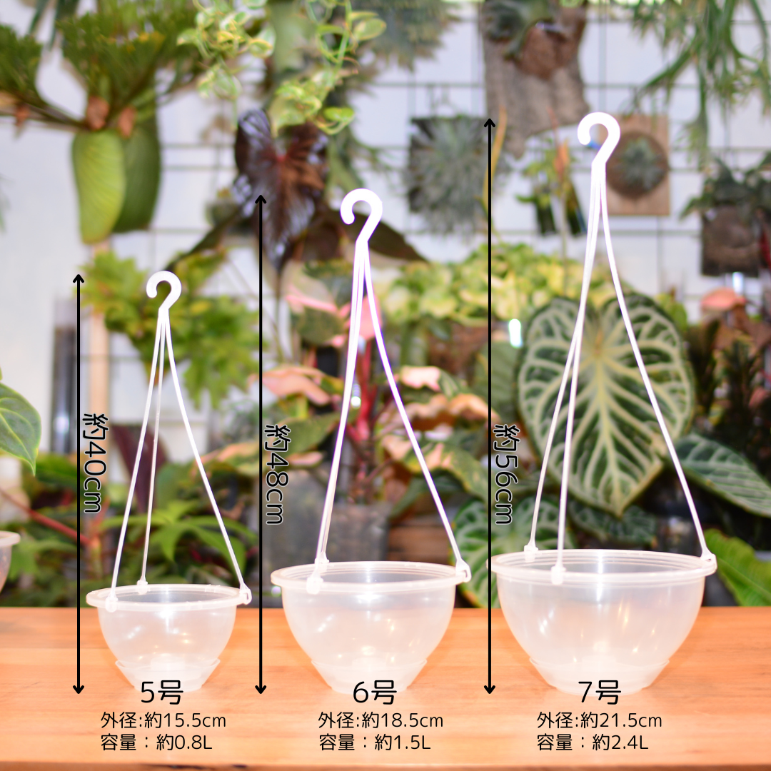 瓢形花生け 生花變化形～二重生蔓梅擬、小菊、龍膽. #Ikenobo #いけばな