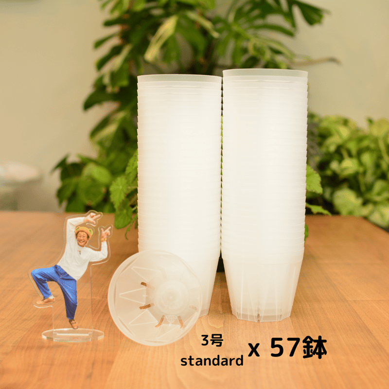 メノー鉢 透明鉢《 NEgamieru 》standard 2.5号 8鉢セット | 花森家-1号店-