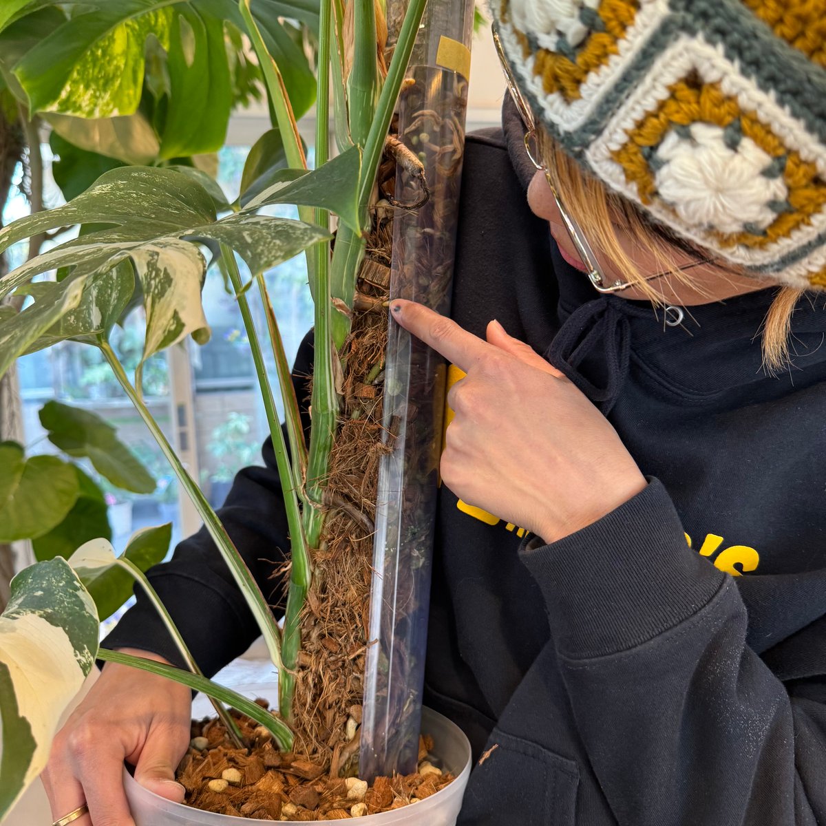 ねこ型登り棒 L/長さ 100cm 2本セット | 花森家-2号店-