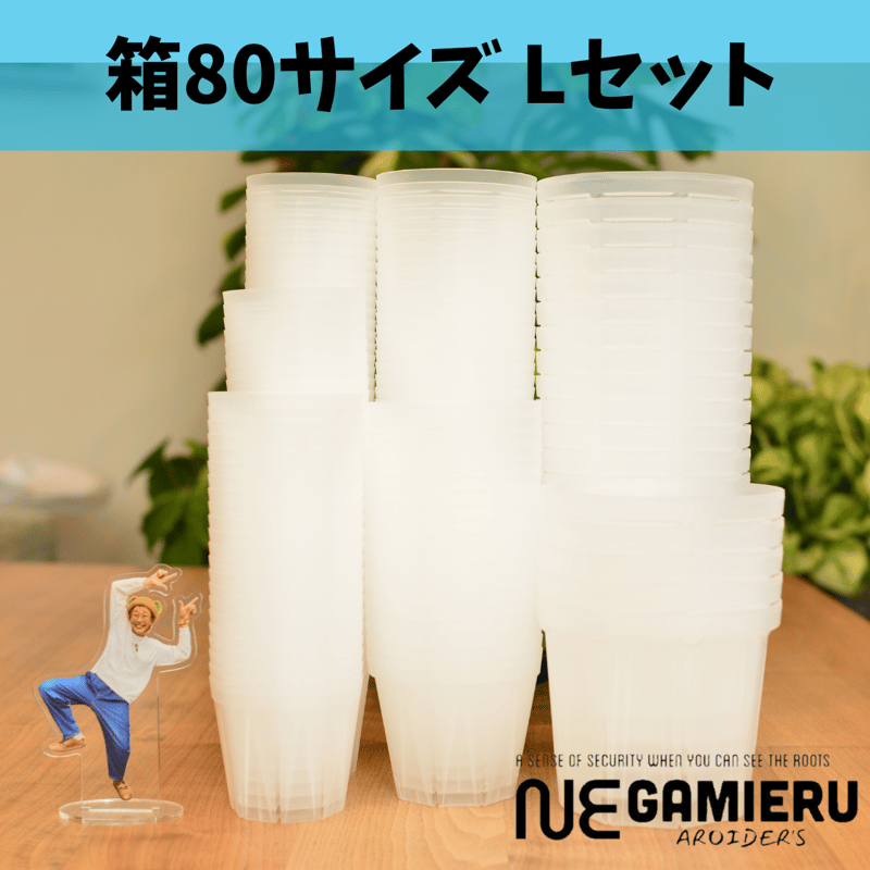 透明鉢《 NEgamieru 》箱80サイズ Lセット | 花森家-2号店-
