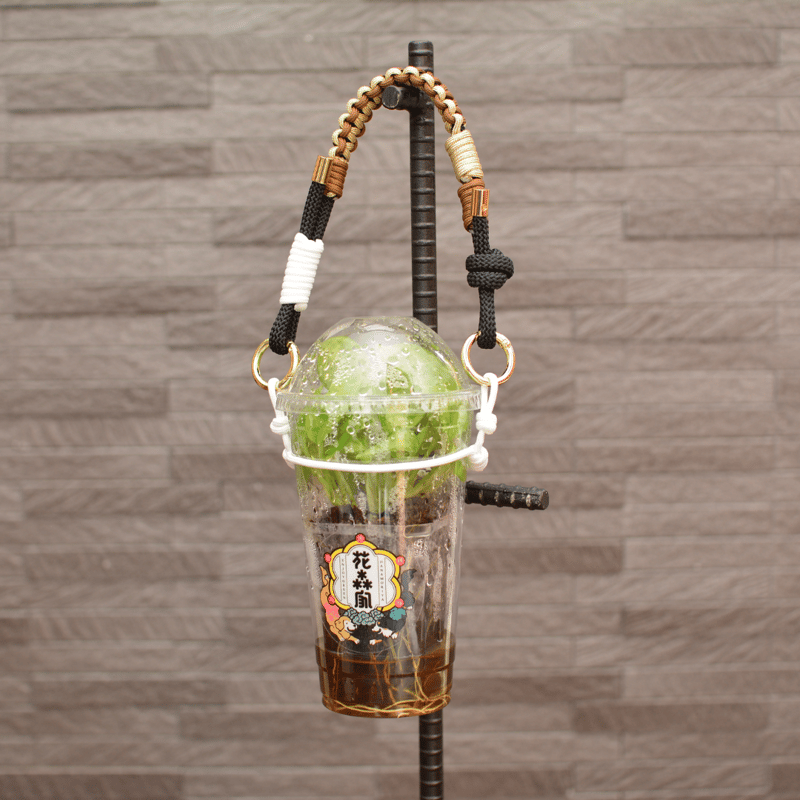 パラパラ パラコード 森くんver. | 花森家-2号店-