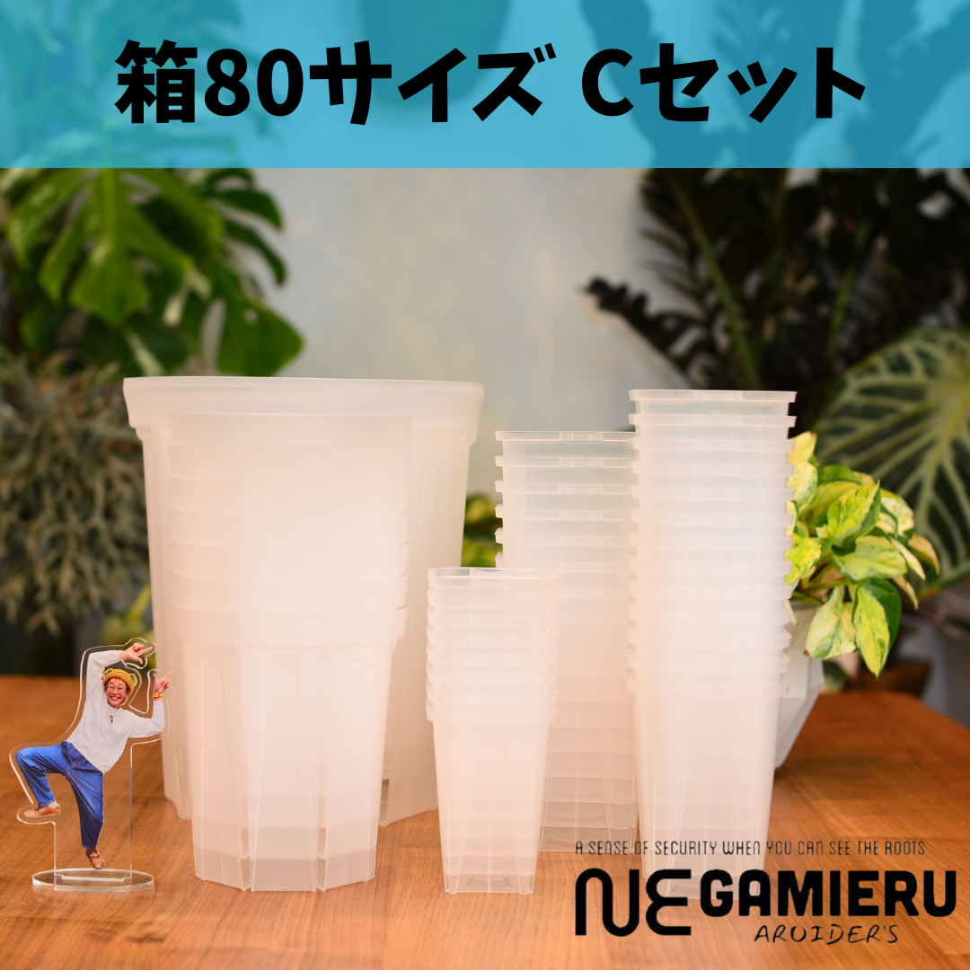 透明鉢《 NEgamieru 》箱80サイズ Cセット | 花森家-2号店-