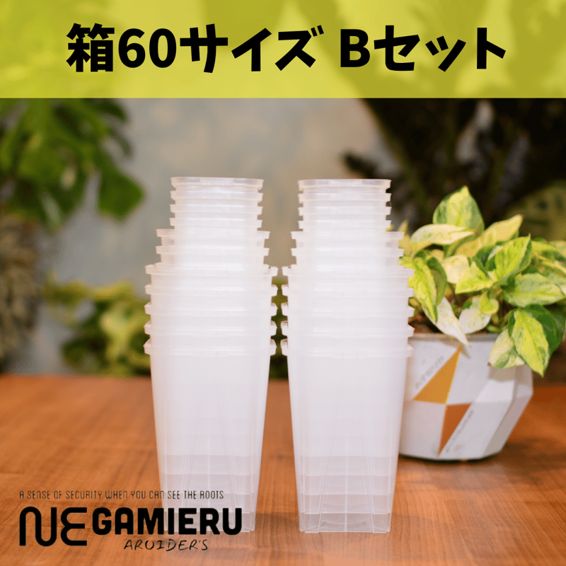透明鉢《 NEgamieru 》箱60サイズ Bセット | 花森家-2号店-