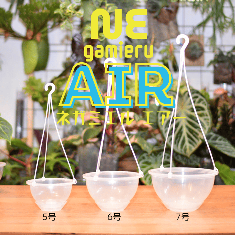 透明鉢《 NEgamieru 》箱80サイズ Nセット | 花森家-2号店-