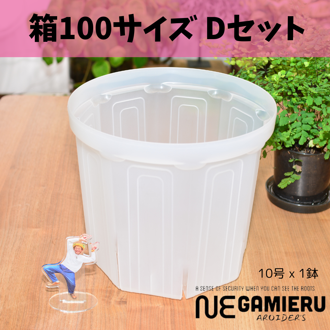 焙り出し　みつ豆鉢 焙り出し みつ豆鉢