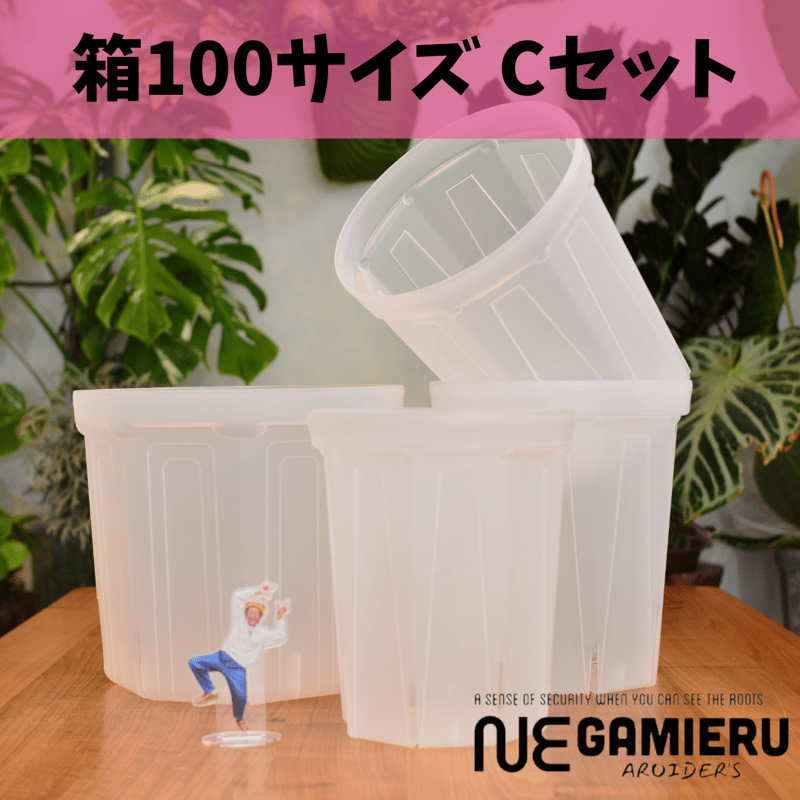 Free!　郁弥　セット 透明鉢《 NEgamieru 》箱100サイズ Cセット | 花森家-2号店-