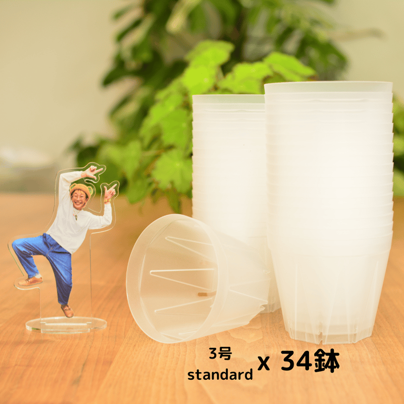 中鉢 FZZ-1600image2.jpg