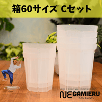透明鉢《 NEgamieru 》箱60サイズ Cセット