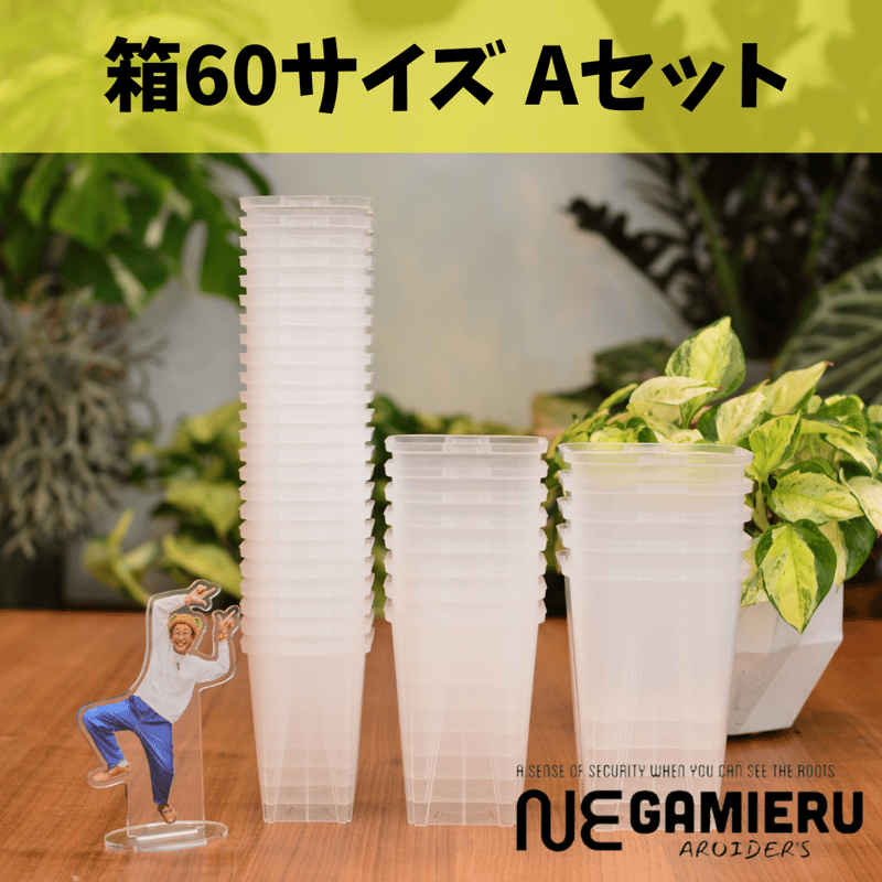 透明鉢《 NEgamieru 》箱60サイズ Aセット | 花森家-2号店-