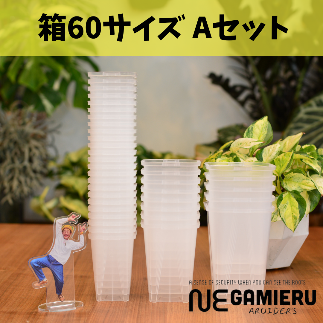 透明鉢《 NEgamieru 》箱60サイズ Aセット | 花森家-2号店-
