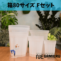 透明鉢《 NEgamieru 》箱80サイズ Fセット