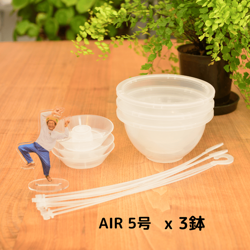 透明鉢《 NEgamieru 》箱80サイズ Pセット | 花森家-2号店-