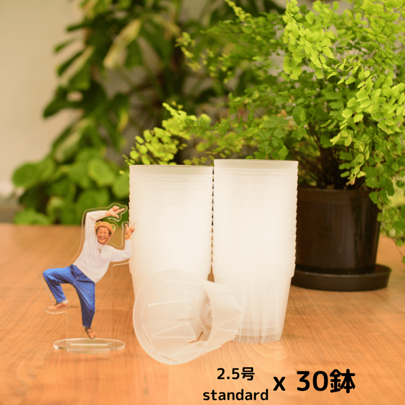 透明鉢《 NEgamieru 》箱80サイズ Mセット | 花森家-2号店-