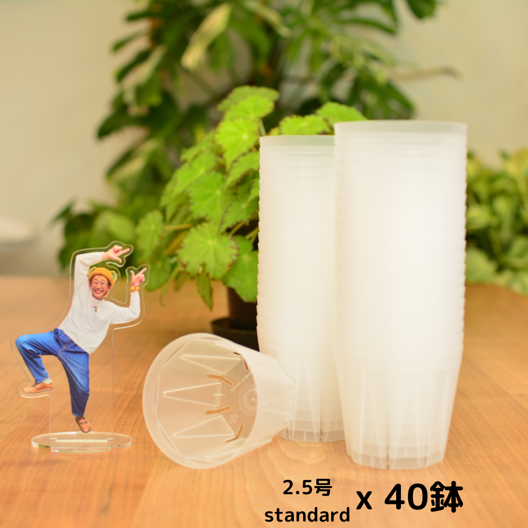 透明鉢《 NEgamieru 》箱80サイズ Kセット | 花森家-2号店-