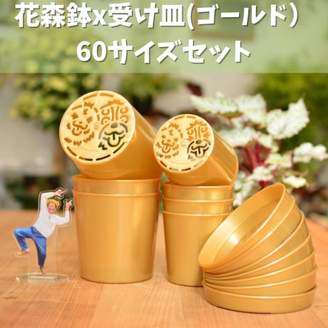 花森家-2号店-