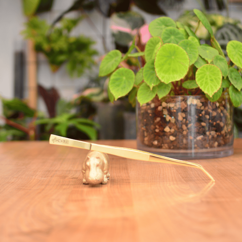 外山刃物】x【花森家】ゴールドピンセット | 花森家-2号店-