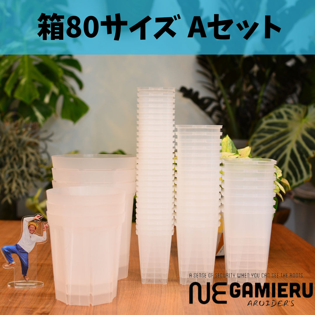 ねずみ色秞花器 楽天市場】【9/7までの限定価格＋クーポン】かもしか道具店