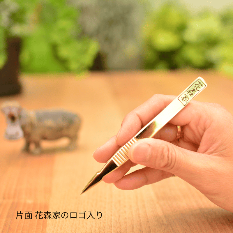 COWAWA (GOLD GLITTER) ZIMOMO KATT 2個セット Amazon.co.jp: Kasing Lung Kasin Lone 2020 ZIMOMO Maneki Neko
