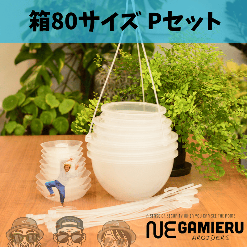 透明鉢《 NEgamieru 》箱80サイズ Pセット | 花森家-2号店-