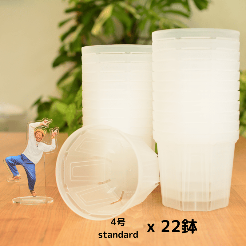 透明鉢《 NEgamieru 》箱80サイズ Lセット | 花森家-2号店-