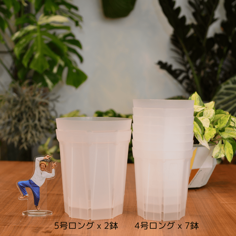 透明鉢《 NEgamieru 》箱80サイズ Cセット | 花森家-2号店-