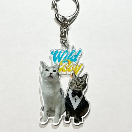 【値下げしました！】ワイルドボーイキーホルダー！