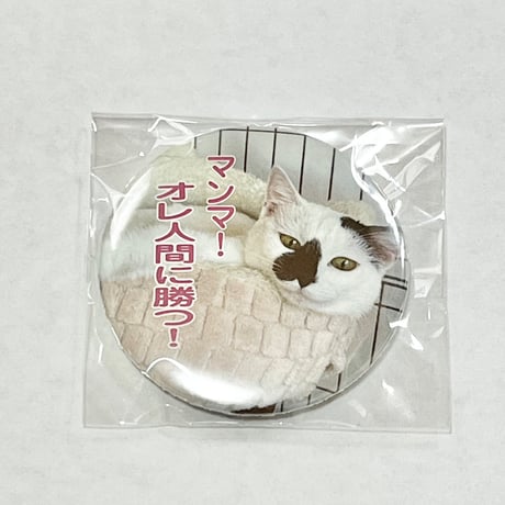 【生意気！】マンマ！オレ人間に勝つ！缶バッチ