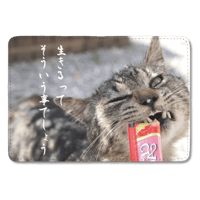 強く生きるためのプロのカードケース