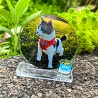 もっちの公園デビュー記念碑withサバ缶