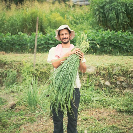 BIQUINHO LEMONGRASS