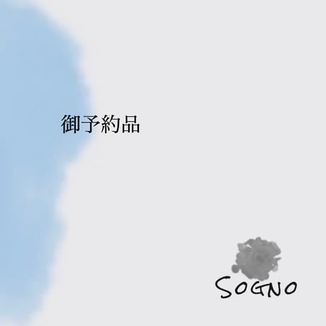 ✴︎miejae様✴︎御予約品